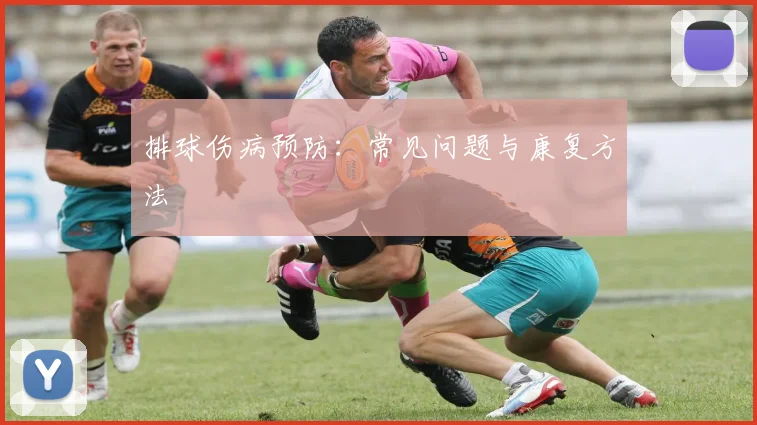 排球伤病预防：常见问题与康复方法