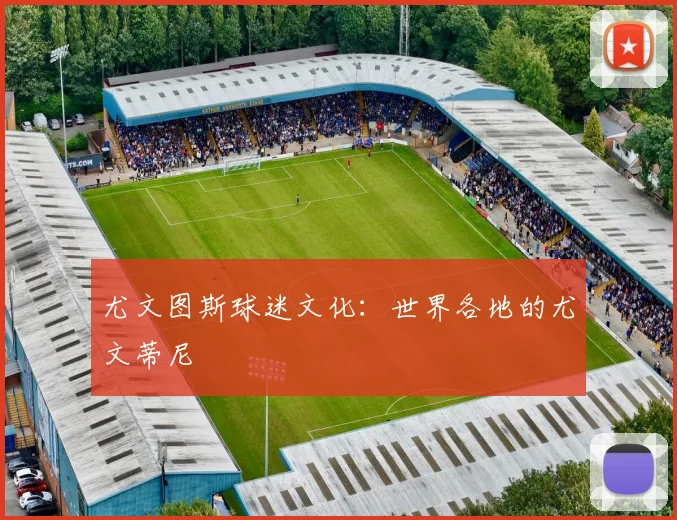 尤文图斯球迷文化:世界各地的尤文蒂尼