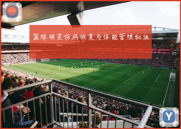 篮球明星伤病恢复与体能管理秘诀