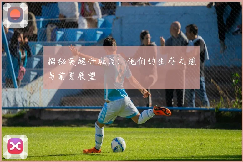 揭秘英超升班马：他们的生存之道与前景展望
