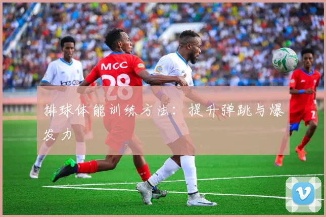 排球体能训练方法：提升弹跳与爆发力